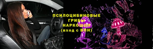 гидропоника Сатка