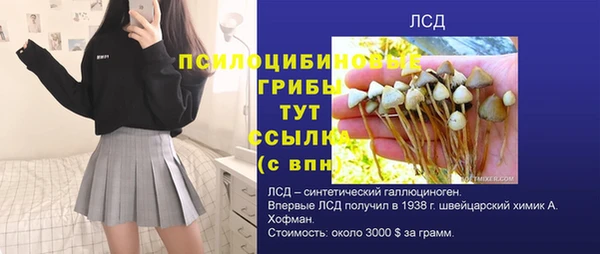 apvp Сафоново